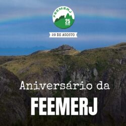25 anos de FEEMERJ