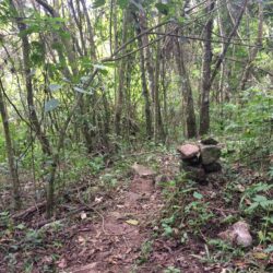 Femerj publica documento sobre Boas Práticas de Sinalização em Trilha