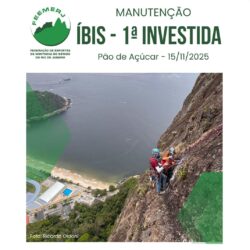Reforma da Íbis: primeira investida