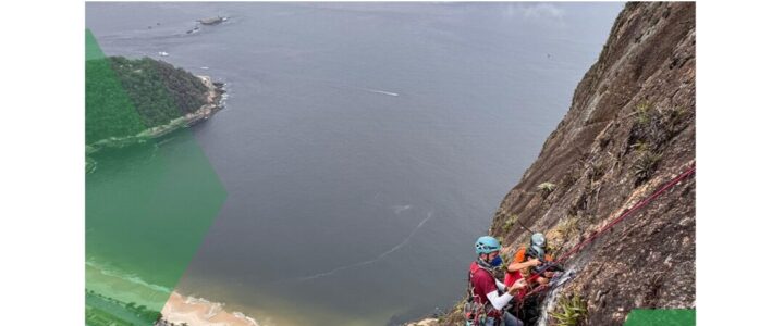 Reforma da Íbis: primeira investida