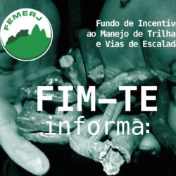 FIM-TE Informa: