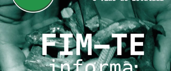 FIM-TE Informa: