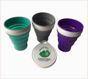 Copo 25 anos FEEMERJ