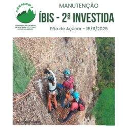 Reforma da Íbis: segunda investida