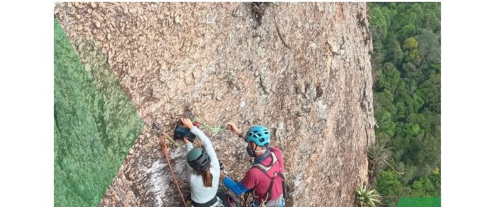 Reforma da Íbis: segunda investida