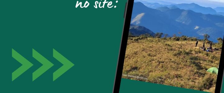 imagem mostrando um celular com o documento aberto.