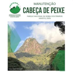 Reforma Cabeça de Peixe, PARNASO