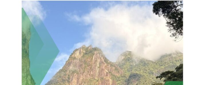 Reforma Cabeça de Peixe, PARNASO